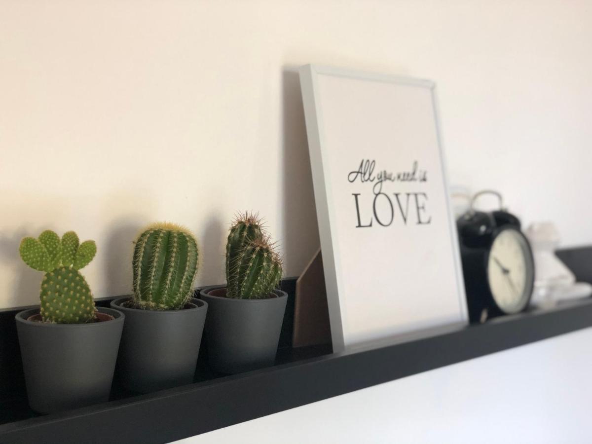 Apartman Spring Sombor Bagian luar foto