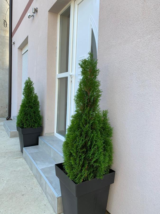 Apartman Spring Sombor Bagian luar foto